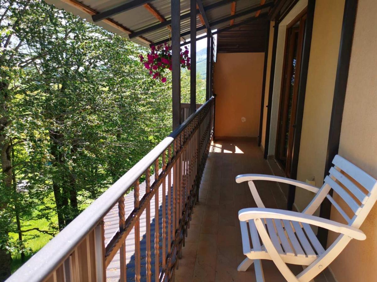 Gorska Vila Apartments Žabljak Dış mekan fotoğraf
