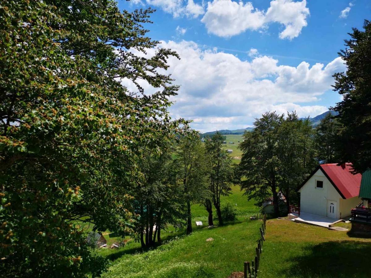 Gorska Vila Apartments Žabljak Dış mekan fotoğraf