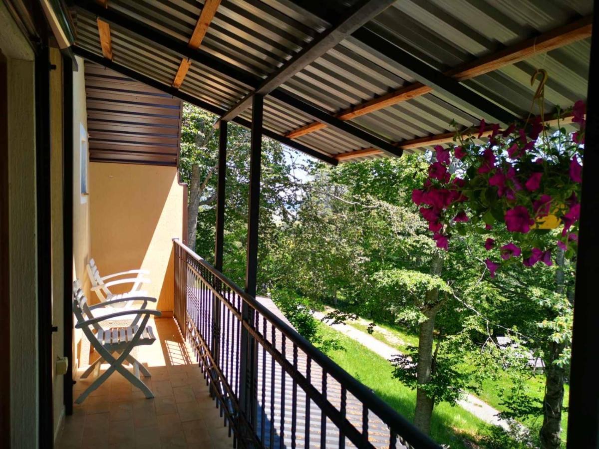 Gorska Vila Apartments Žabljak Dış mekan fotoğraf