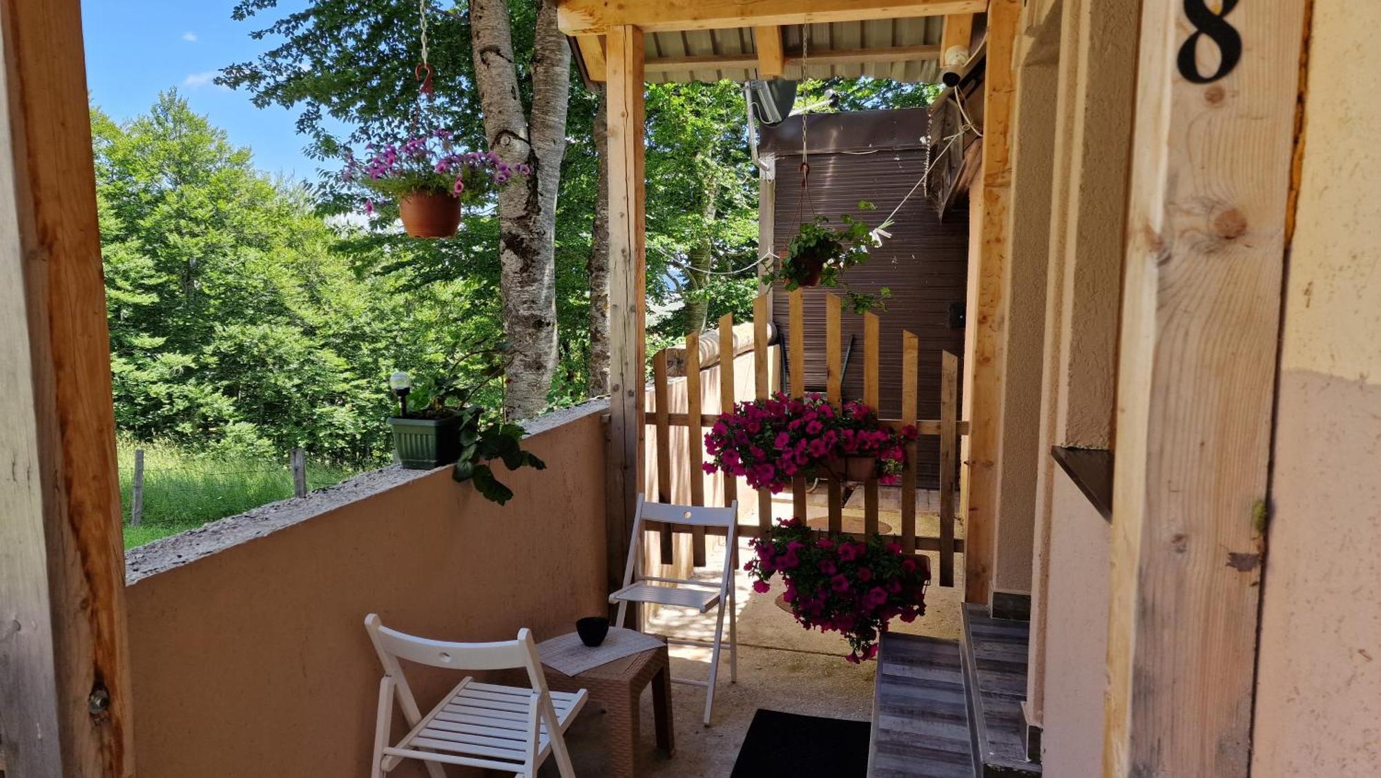 Gorska Vila Apartments Žabljak Dış mekan fotoğraf