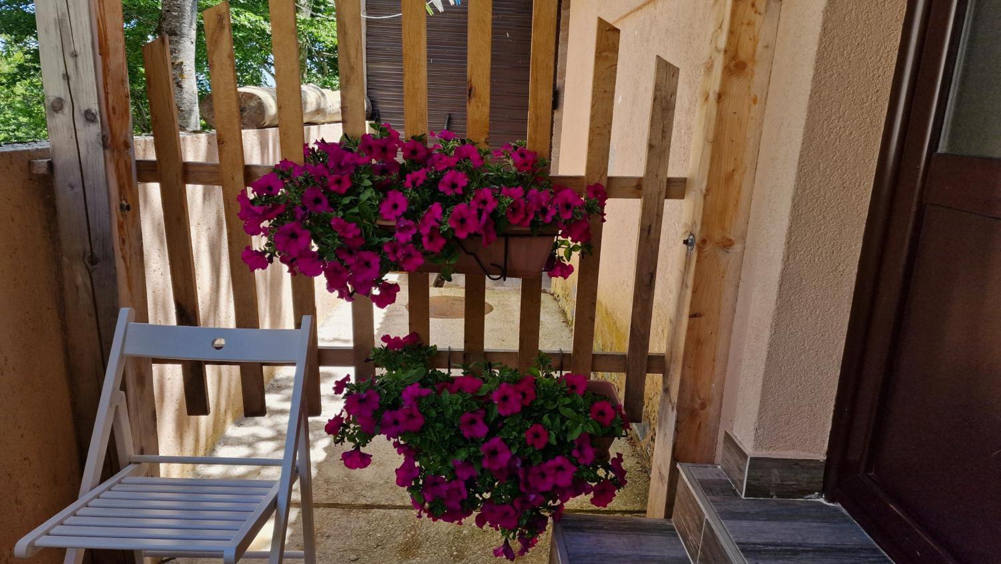 Gorska Vila Apartments Žabljak Oda fotoğraf