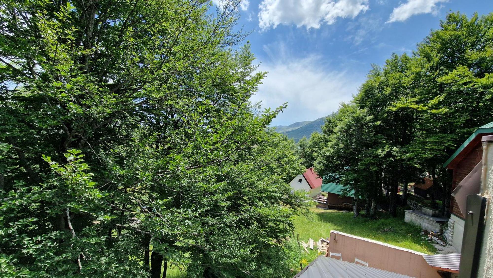 Gorska Vila Apartments Žabljak Oda fotoğraf