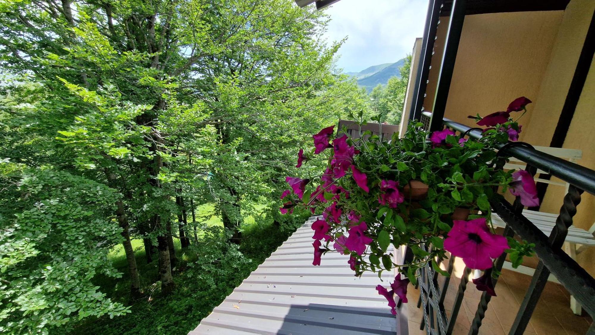 Gorska Vila Apartments Žabljak Oda fotoğraf