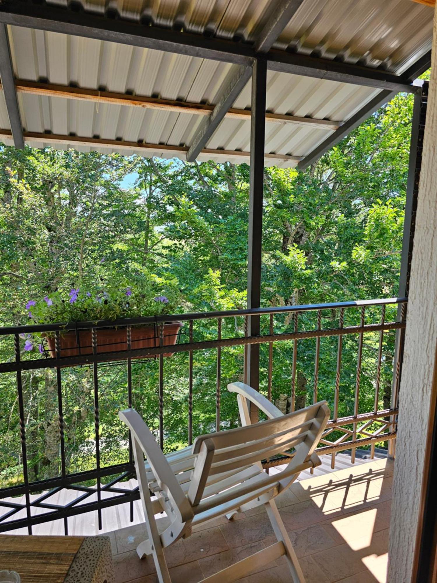 Gorska Vila Apartments Žabljak Dış mekan fotoğraf